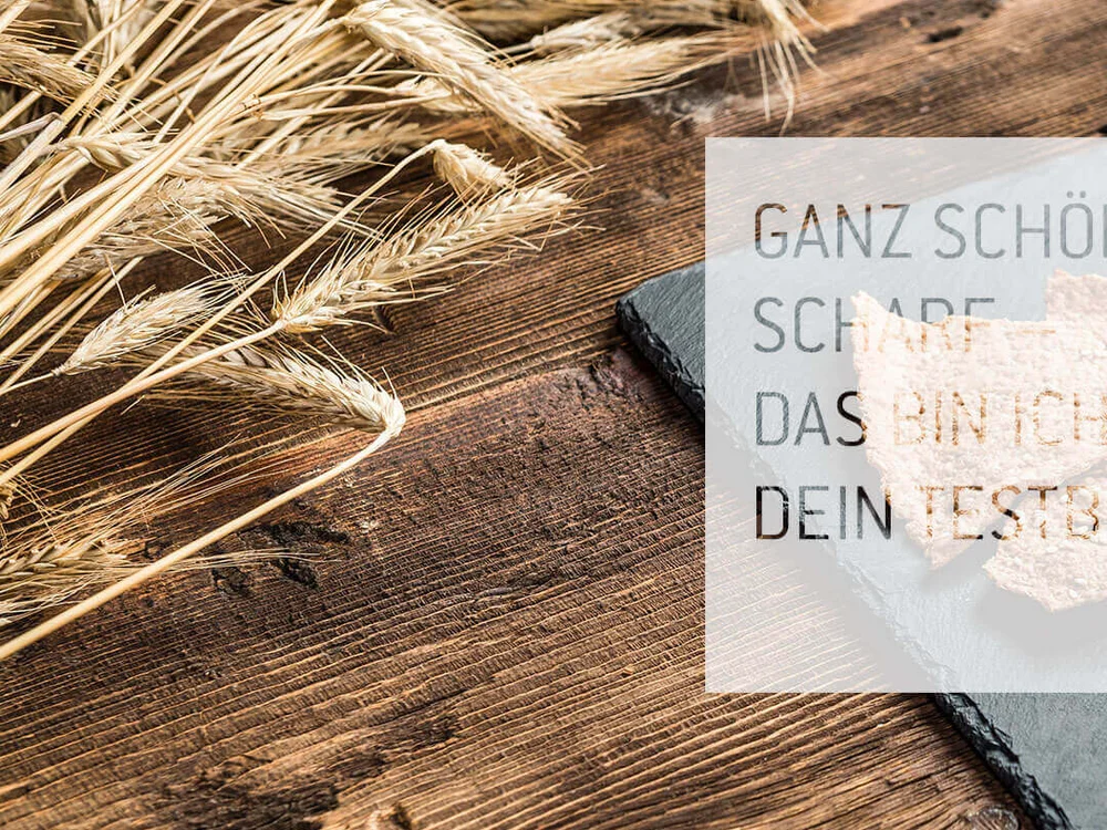 Knusprige Vollkorncracker mit Paprika, Kirschtomaten und Mozzarella auf Schieferplatte