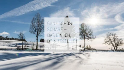 Winter